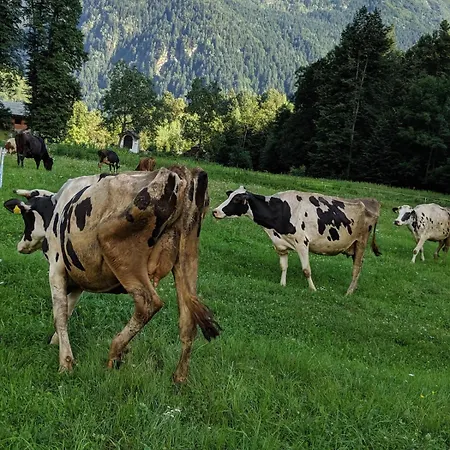 Vakantiehuis Renovated Walzer House 15 Mins By Car From Alagna